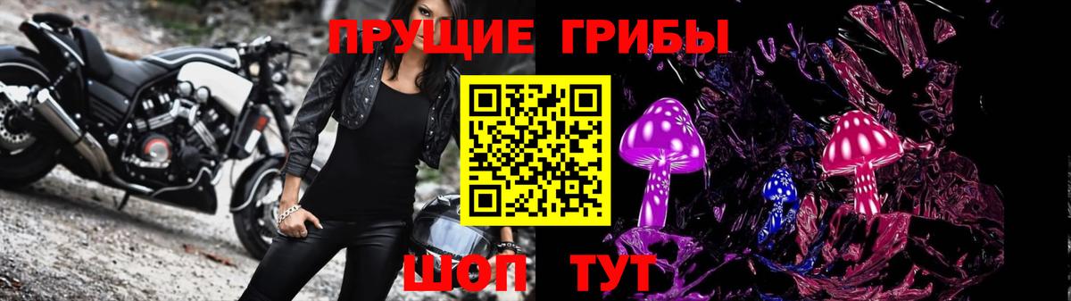 Лениногорск  Псилоцибиновые грибы мухоморы  Вход с VPN 